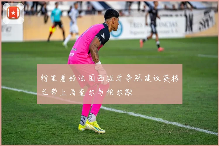 特里看好法国西班牙争冠建议英格兰带上马奎尔与帕尔默