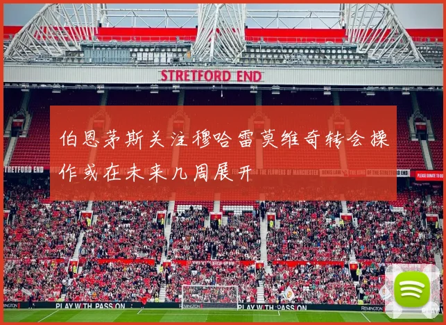 伯恩茅斯关注穆哈雷莫维奇转会操作或在未来几周展开